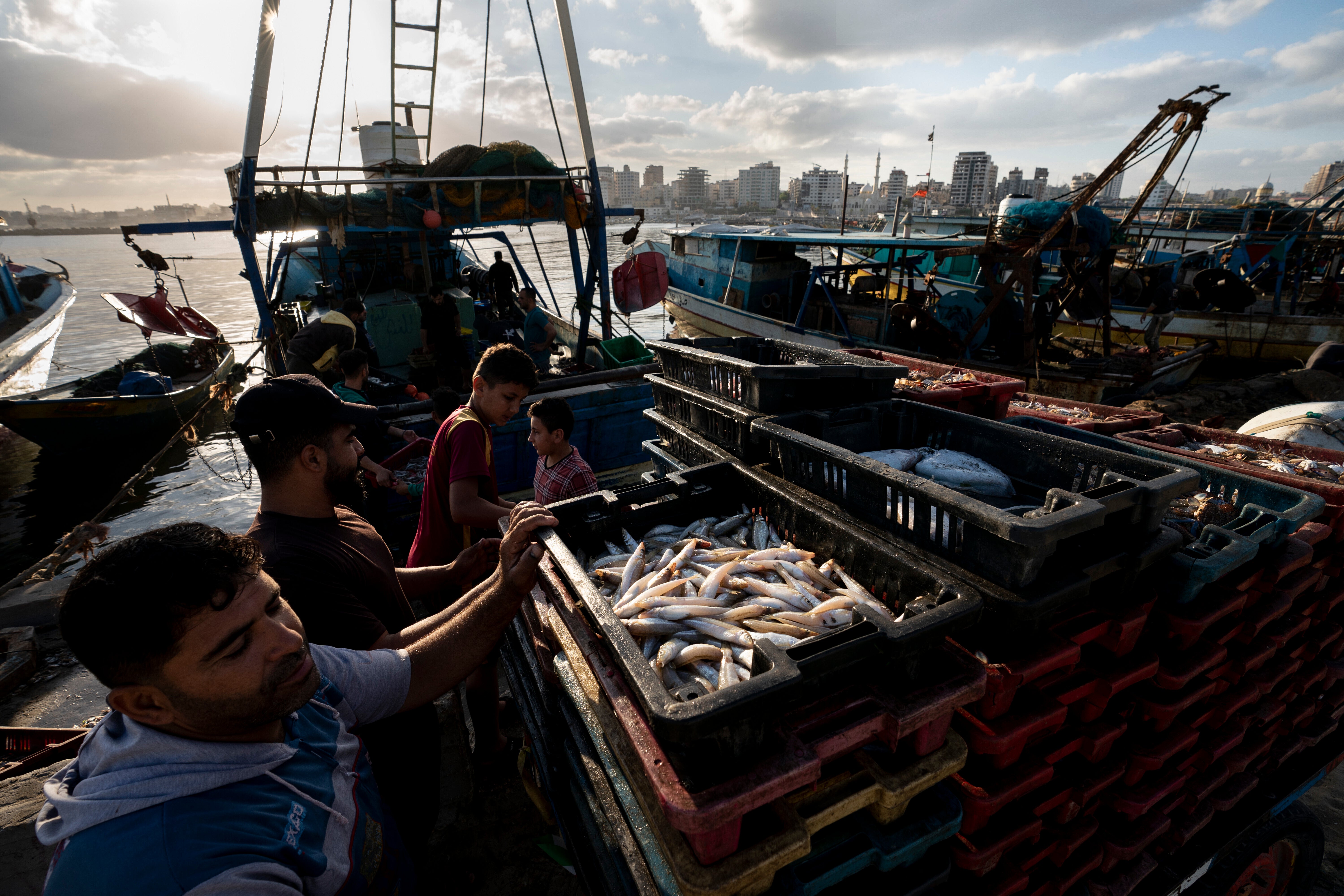 Ocean Fisheries Armed Conflict