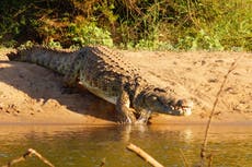 The dilemma of human-wildlife coexistence in Botswana