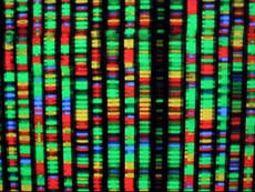 New secrets of human genome unearthed after missing segments finally sequenced