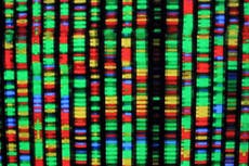 New secrets of human genome unearthed after missing segments finally sequenced