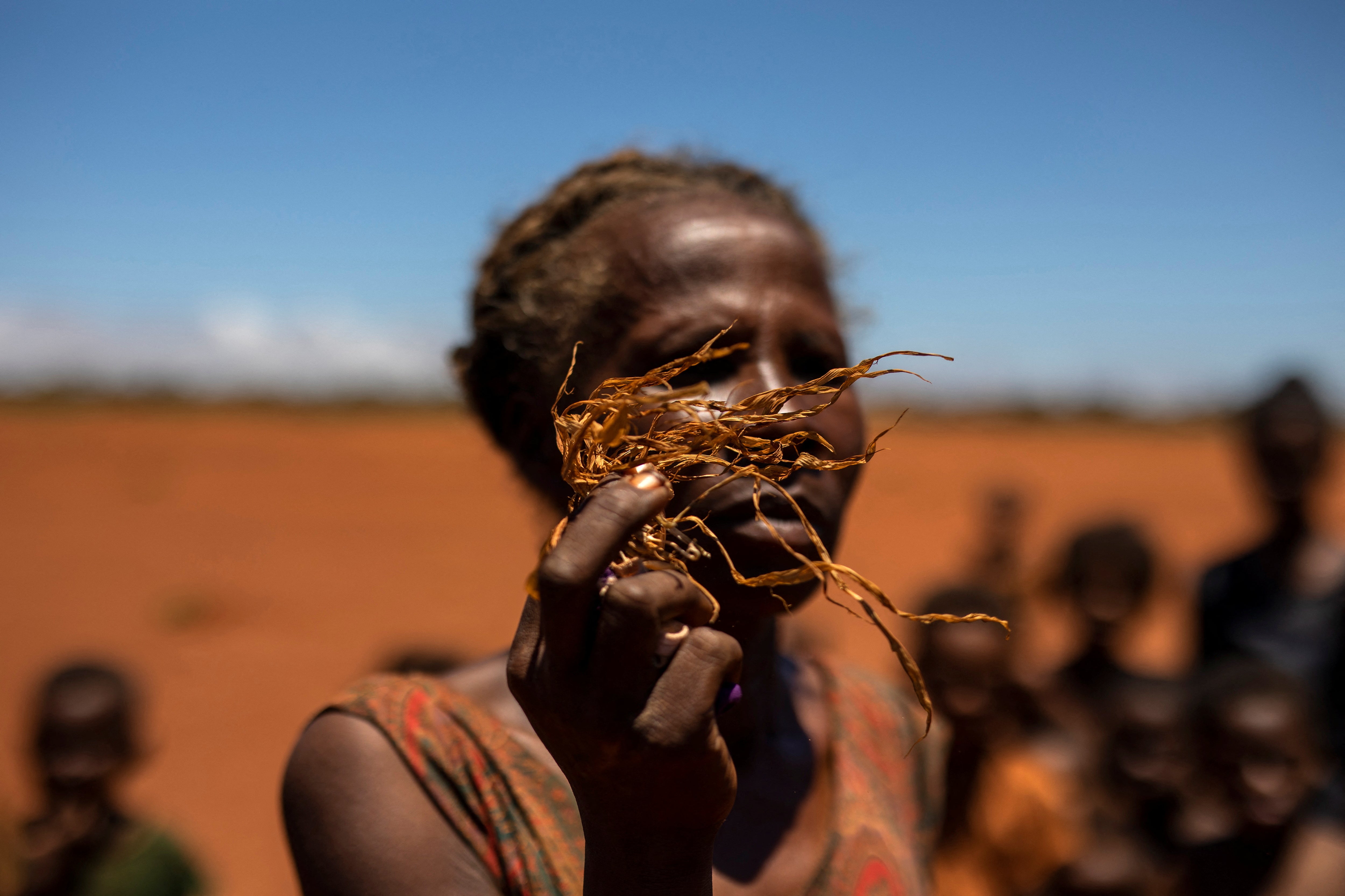 A woman holds part of a dead corn plant in a field covered with red sand