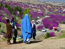 5 children ‘playing with unexploded mortar shell’ killed in Afghanistan