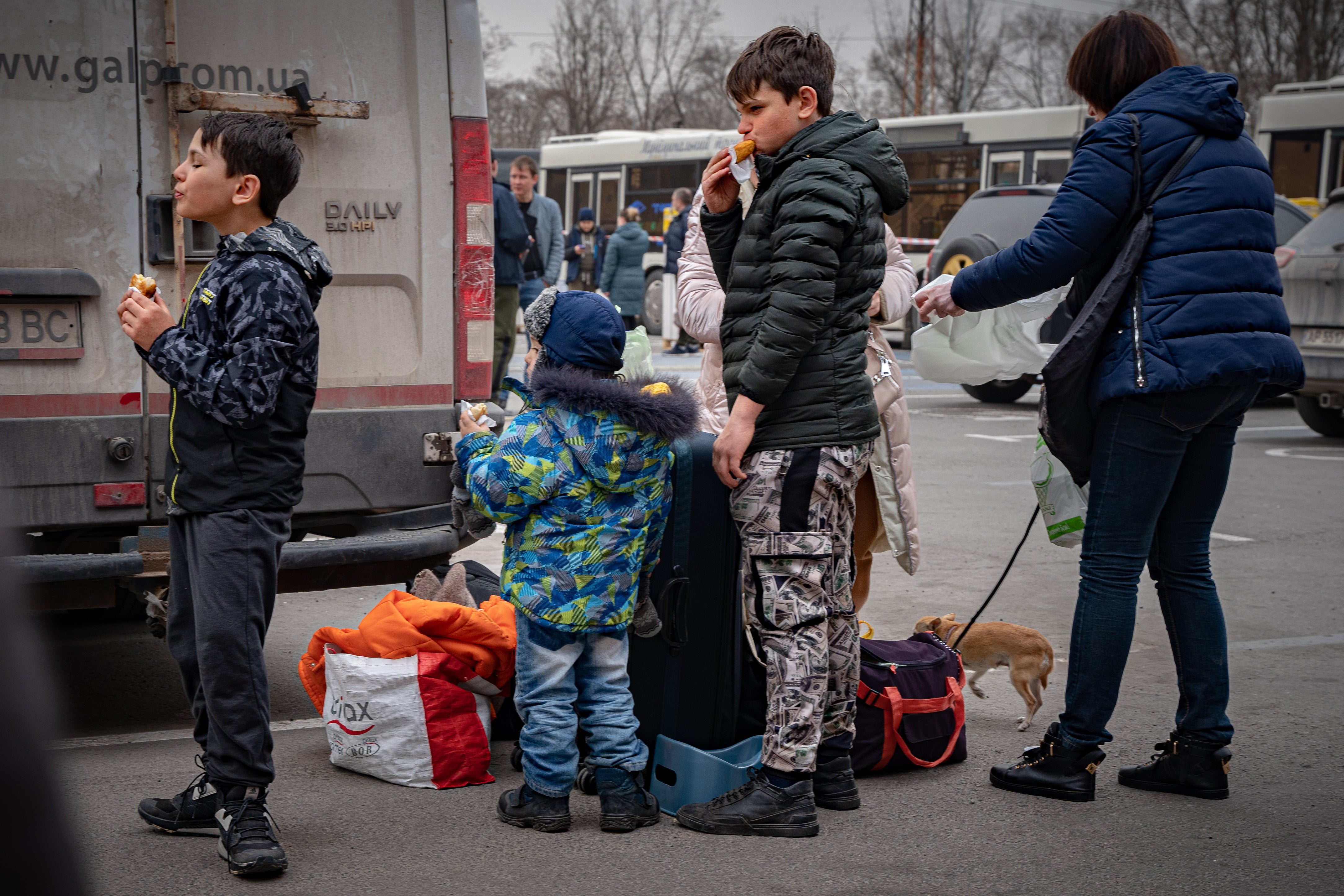 A child stands next to his potty, bags and pet, with his family who arrived in Zaporizhzhia from Mariupol on Friday