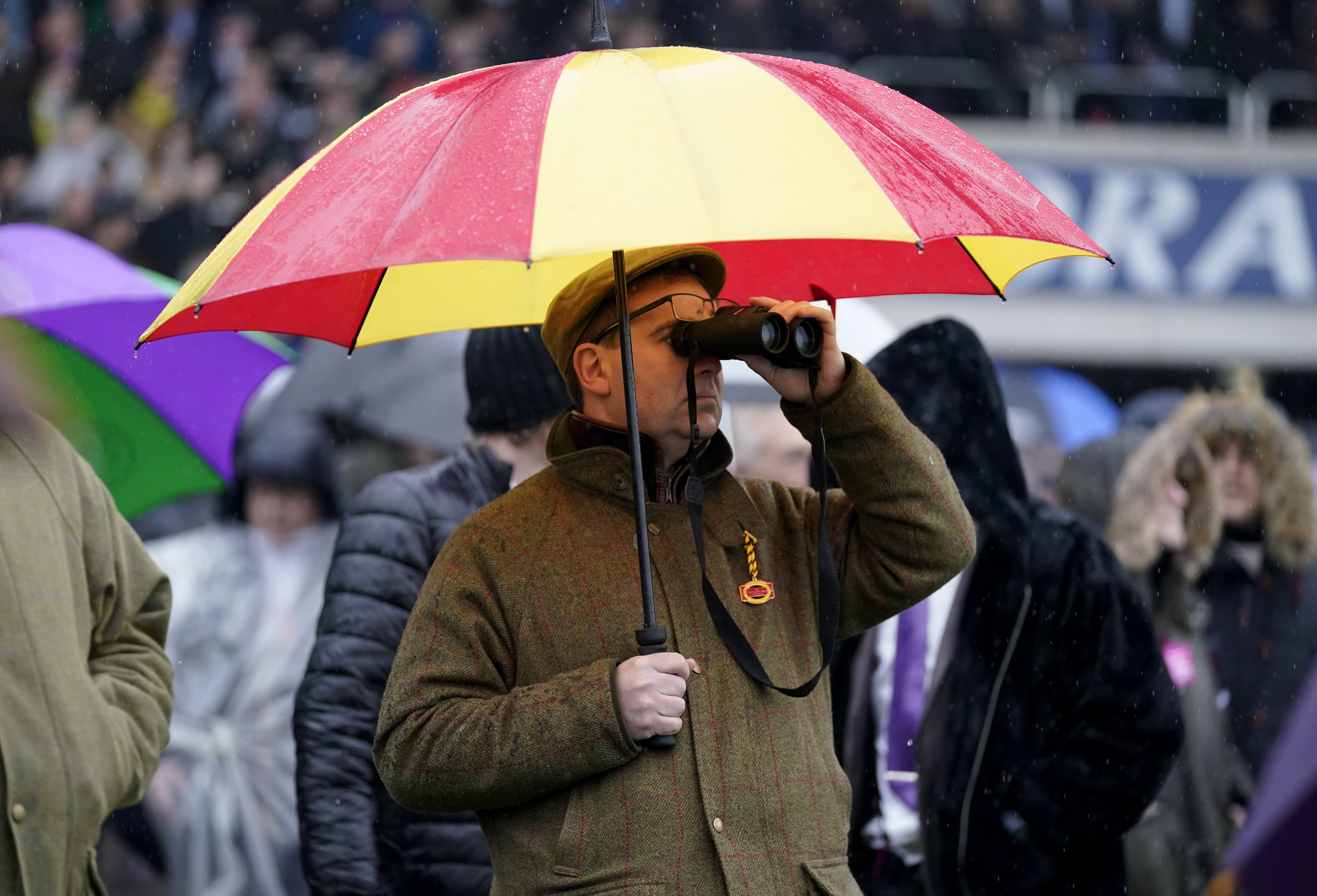 A Cheltenham Festival punter