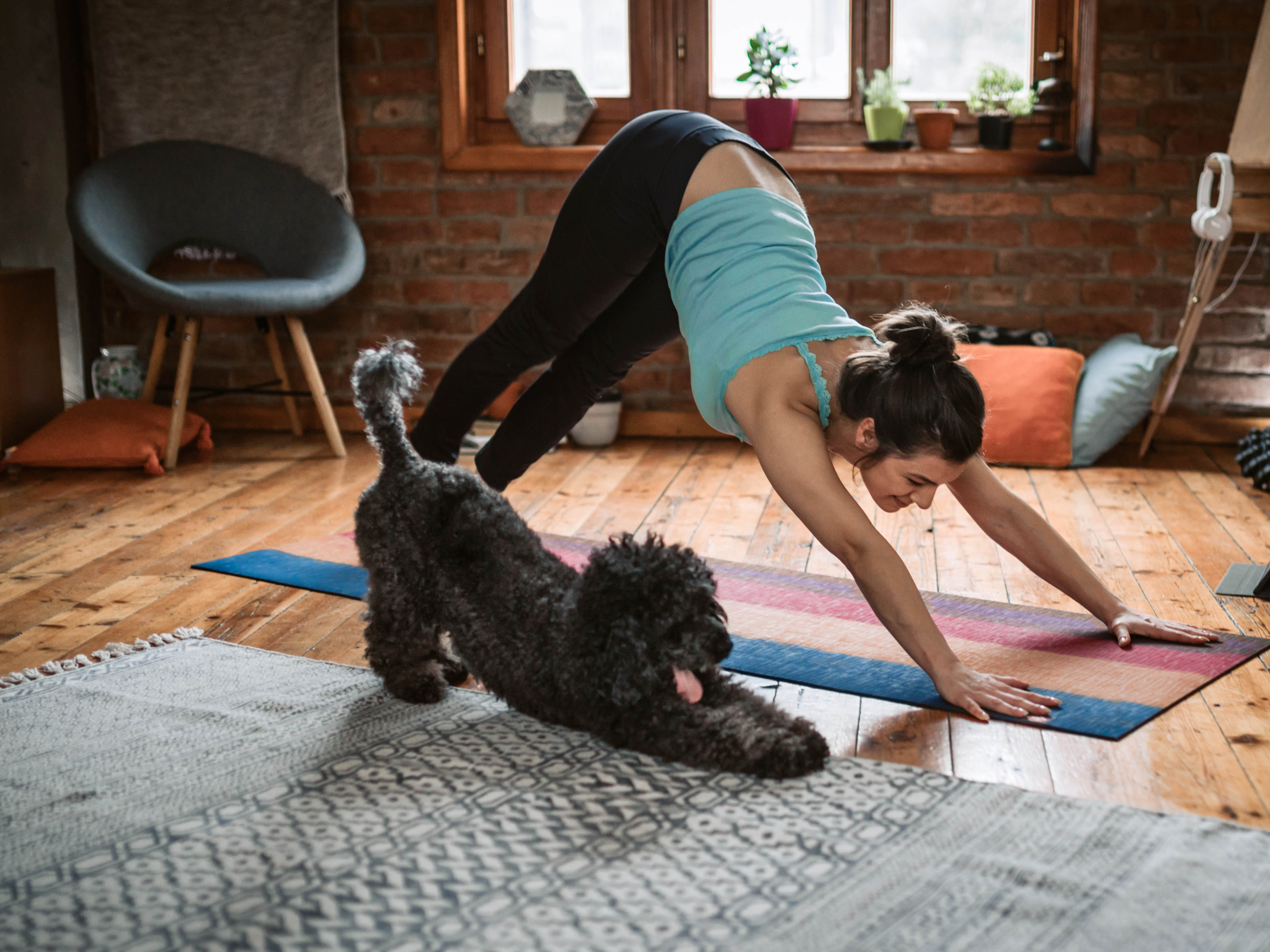 The downward dog pose