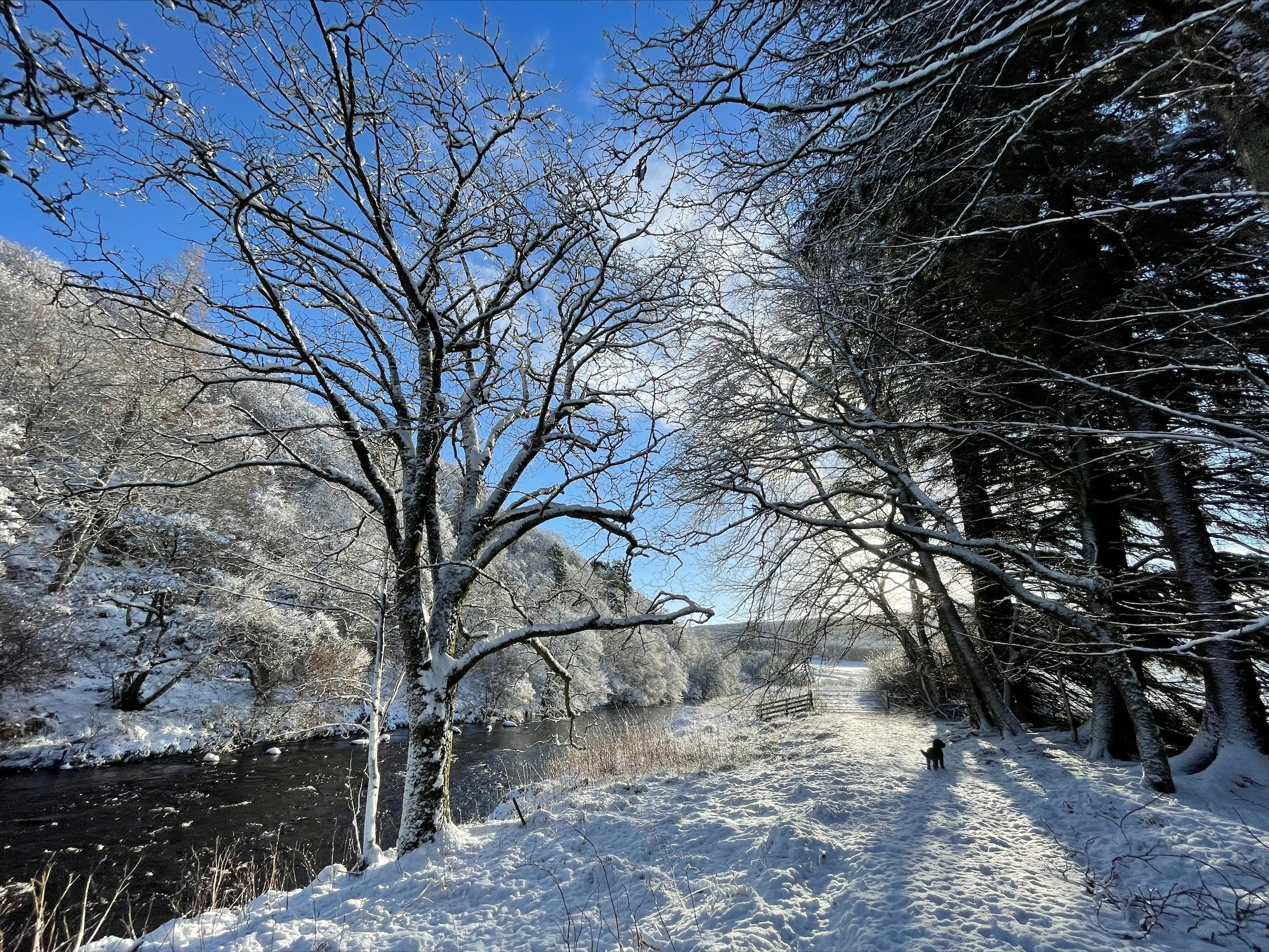 Disruption for roads and railways is expected after a yellow weather warning was issued for snow across northern parts of Scotland (Katharine Hay/PA)