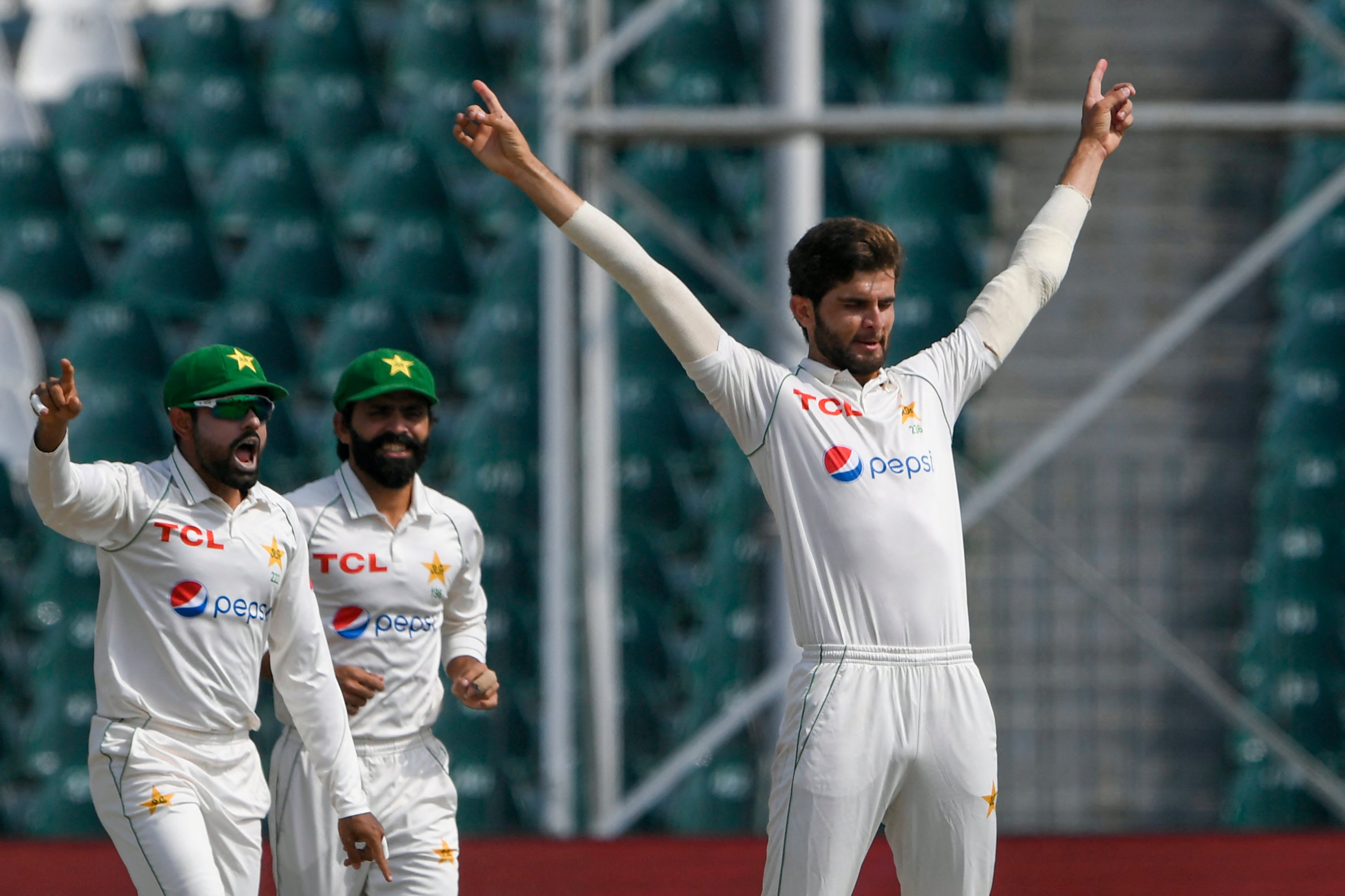 Shaheen Shah Afridi celebrates with teammates after dismissing David Warner