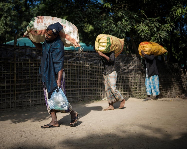 Retailers carrying aubergines to the local market