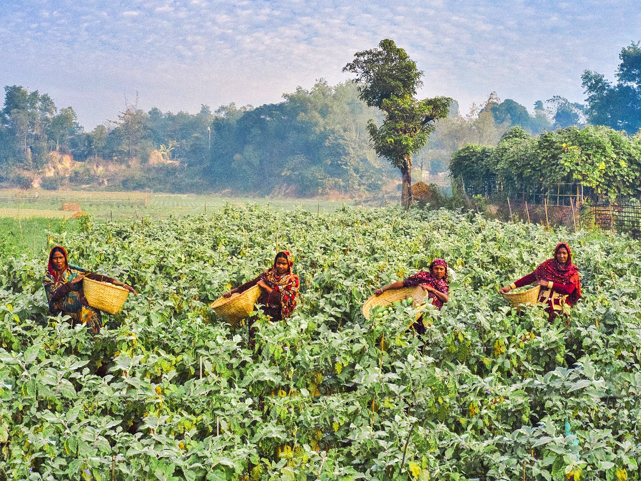 WFP set up a livelihoods programme to support rural women in Cox’s Bazar