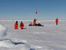 The world’s ‘plastic flood’ has reached the Arctic