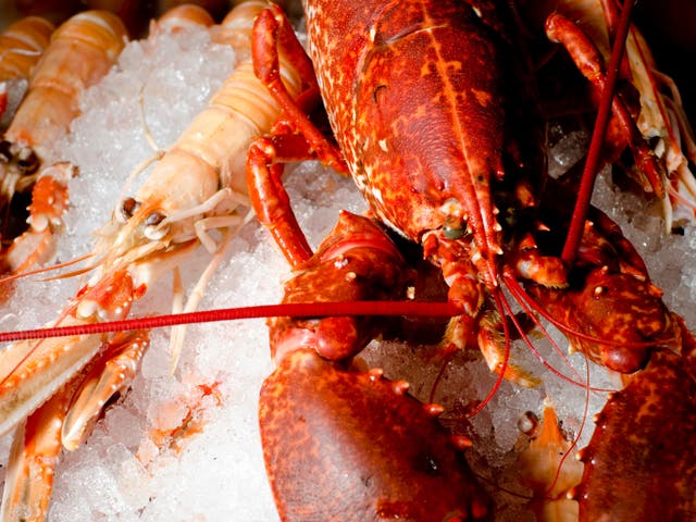 <p>Langoustine and lobsters are being targeted by organised gangs fuelling a Christmas crimewave</p>