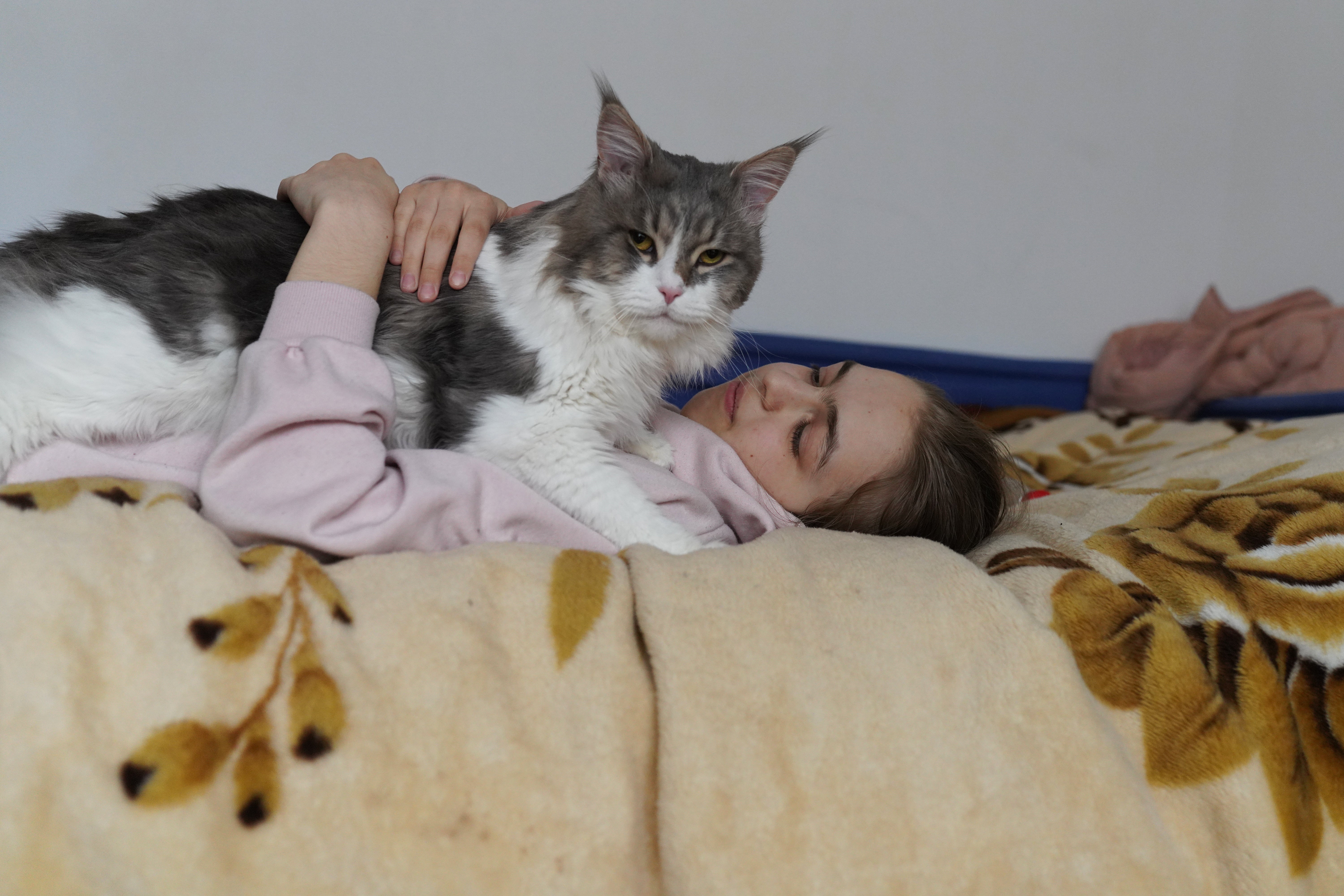 Maria, who fled the war in Ukraine with her cat