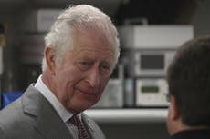 Almost half of Britons think Charles should step aside for William, poll finds 