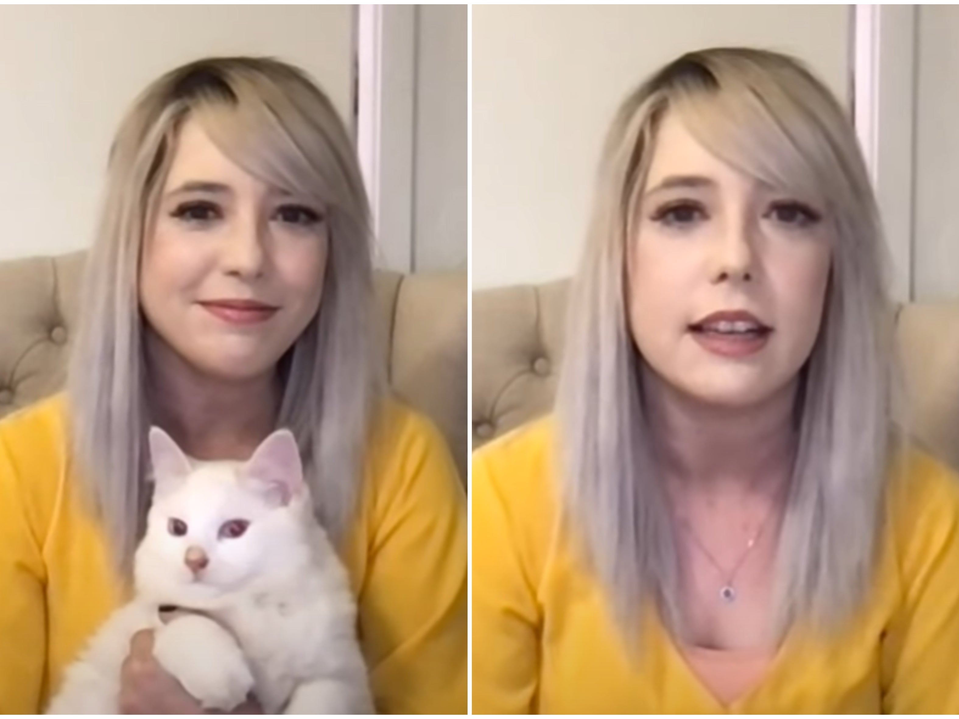 Kelly Anderson says it took four years to clone her cat Chai