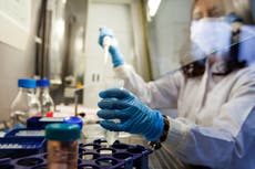 Researchers reverse ageing in human skin cells by 30 years