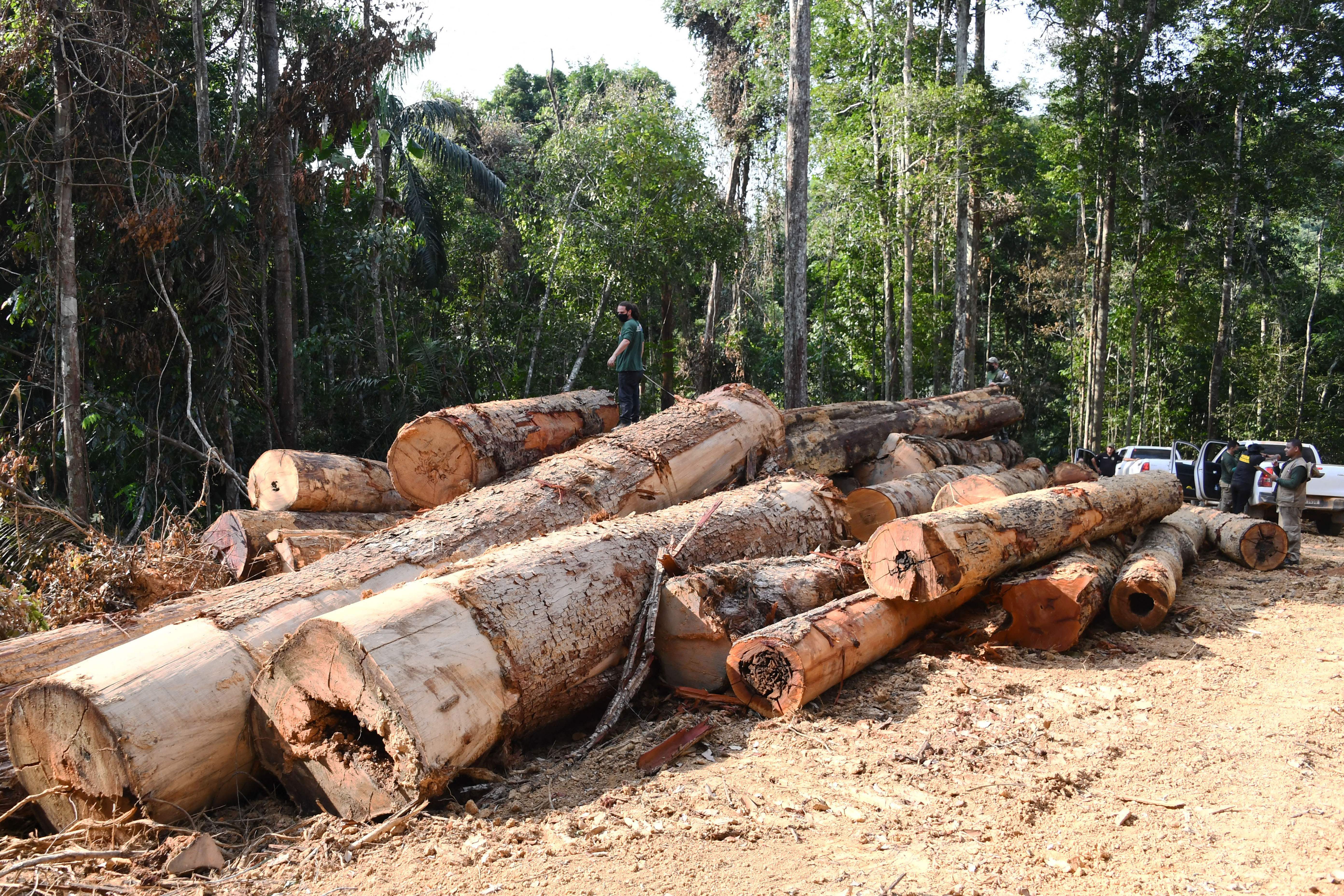 Officials from Para state inspect a deforested area in the Amazon in September 2021