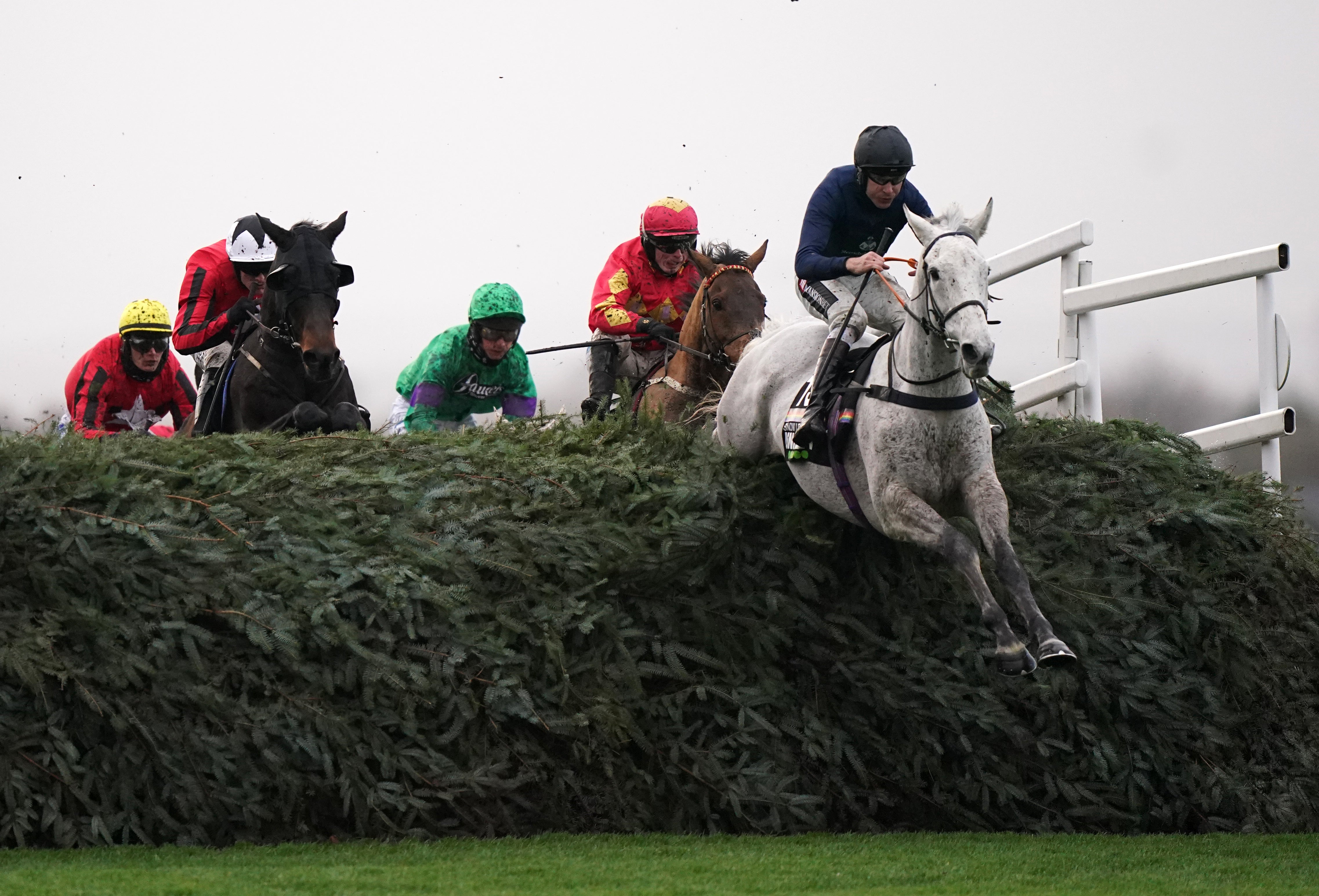 Snow Leopardess flies over the National fences (Tim Goode/PA)