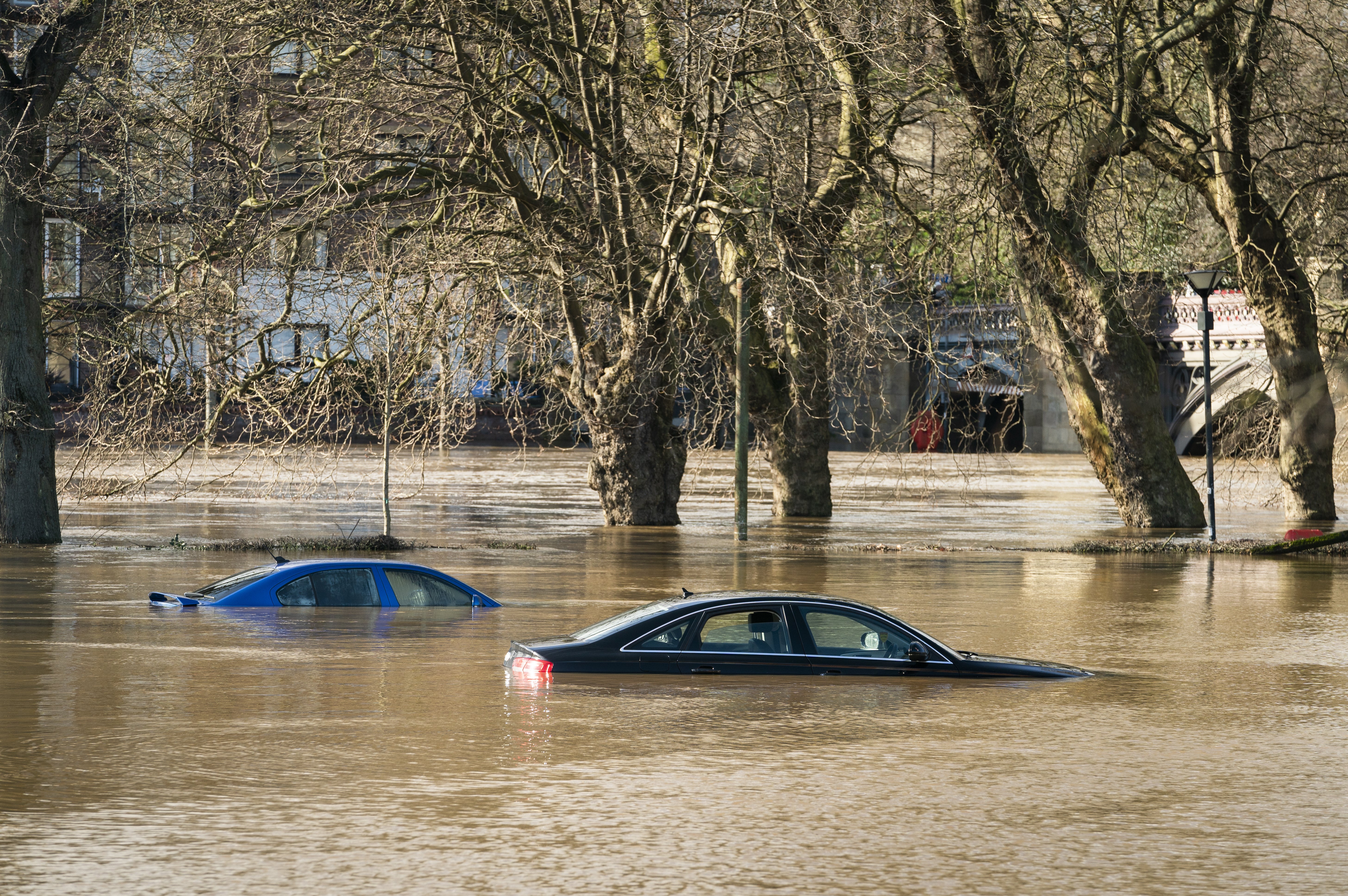 A UK-born dog breeder has died after being caught in floodwater on the outskirts of Sydney (PA)