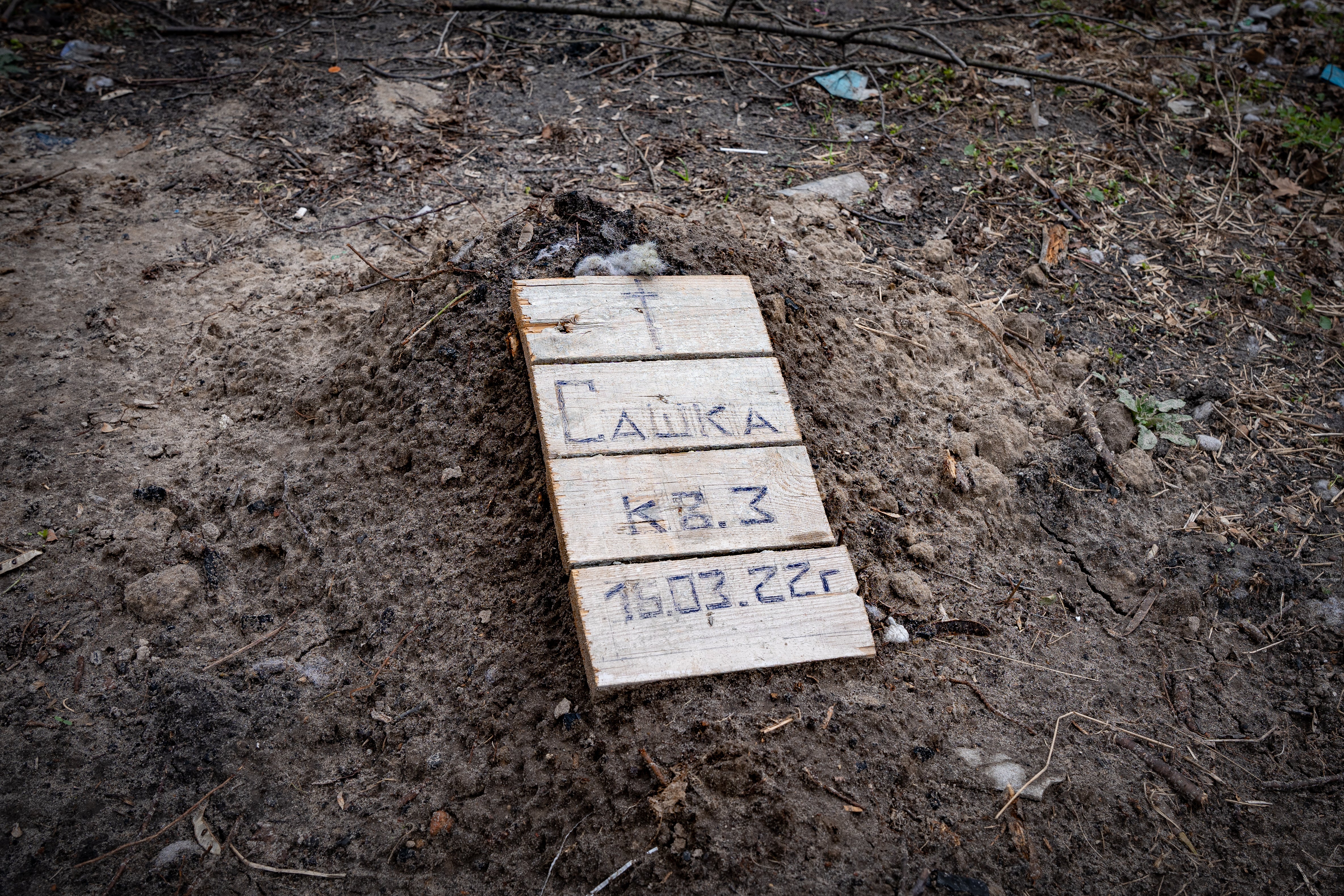 The makeshift grave of a man publicly shot by Russians who accused him of filming from his window