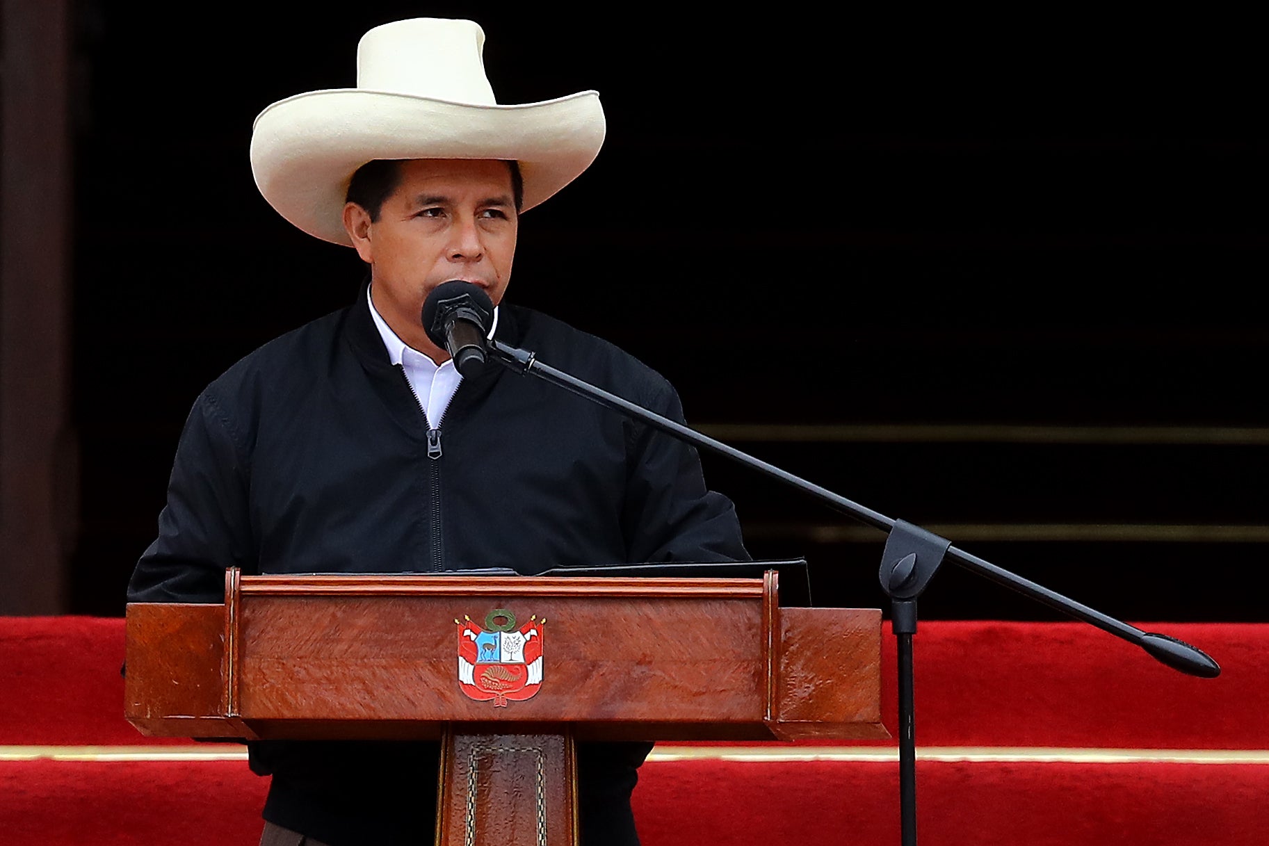 Left-wing Peruvian President Pedro Castillo was elected last year