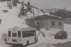 Polar bear almost falls through woman’s roof in Canada
