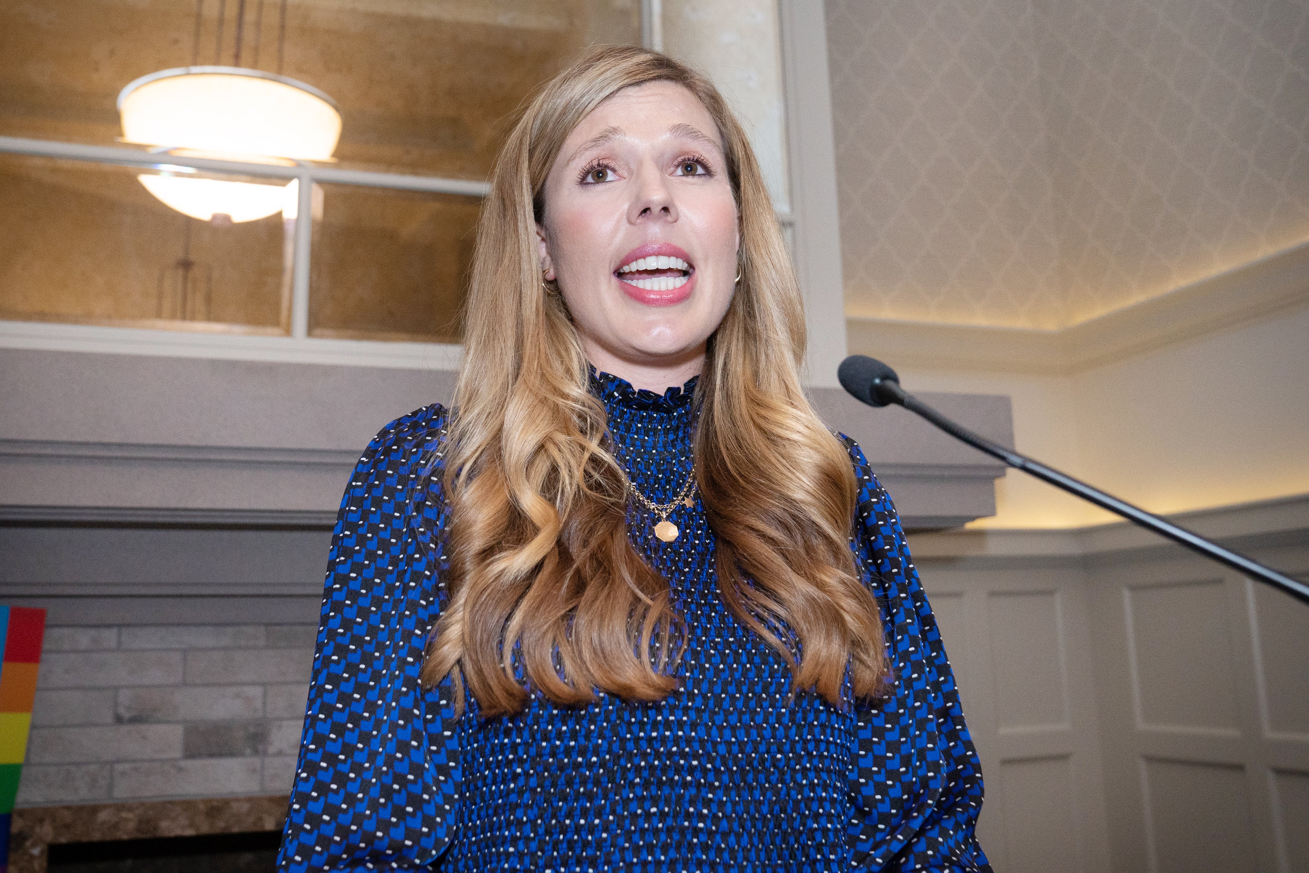 Carrie Johnson (PA/Stefan Rousseau)