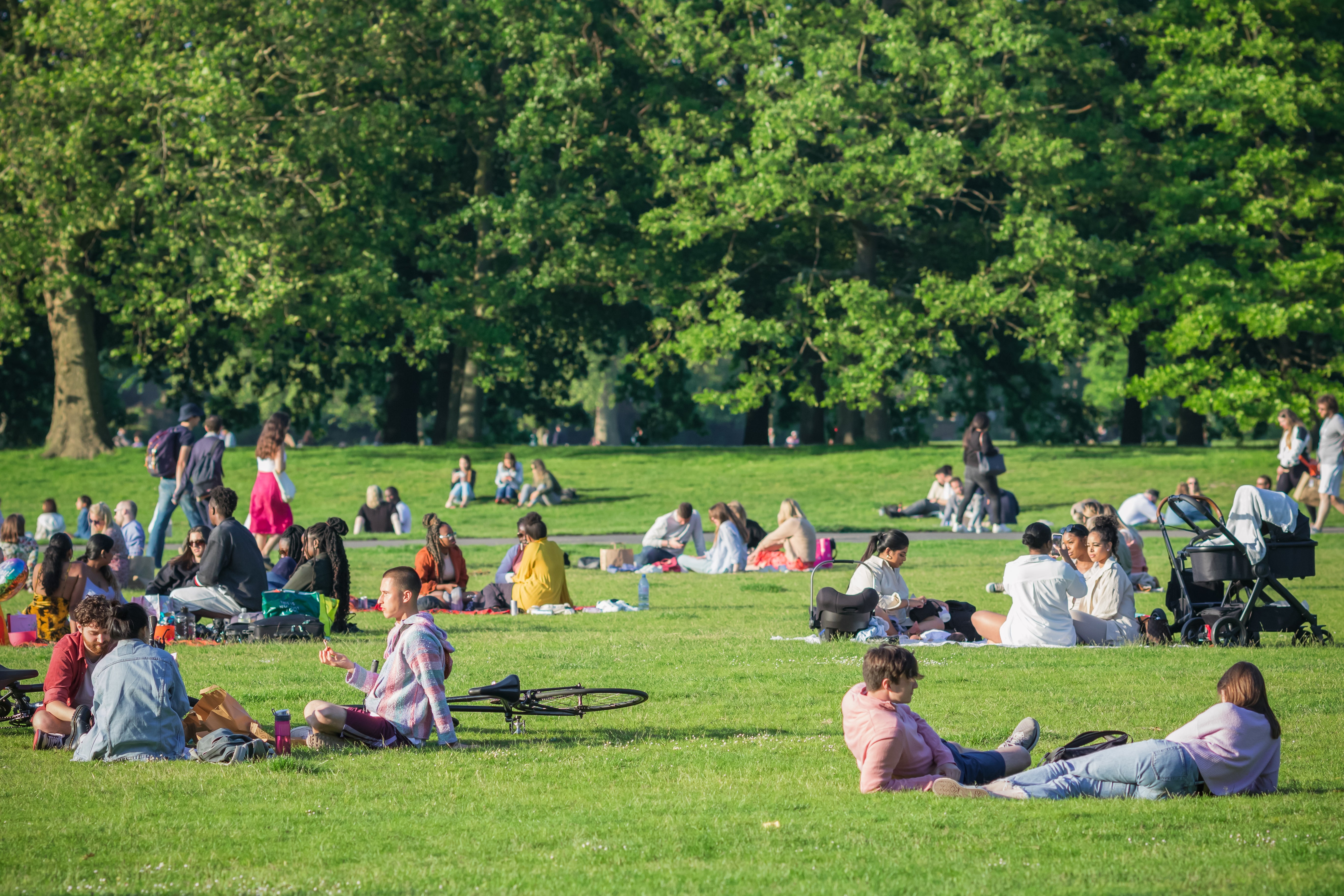 Highs of 26C predicted for next week as spell of good weather continues