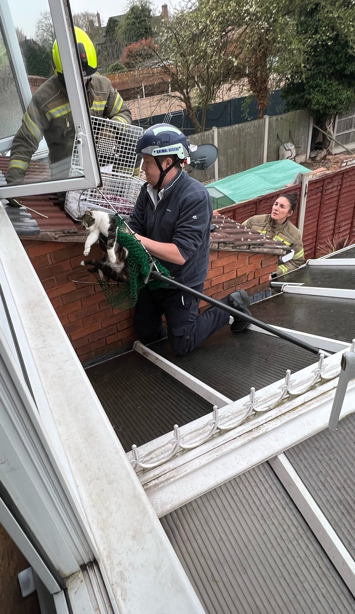 The cat and her kittens were rescued from a gutter in Birmingham (RSPCA/PA)