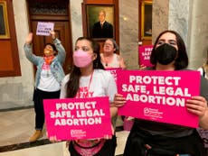 Kentucky’s abortion law is the first in the US to ‘completely and immediately’ eliminate access