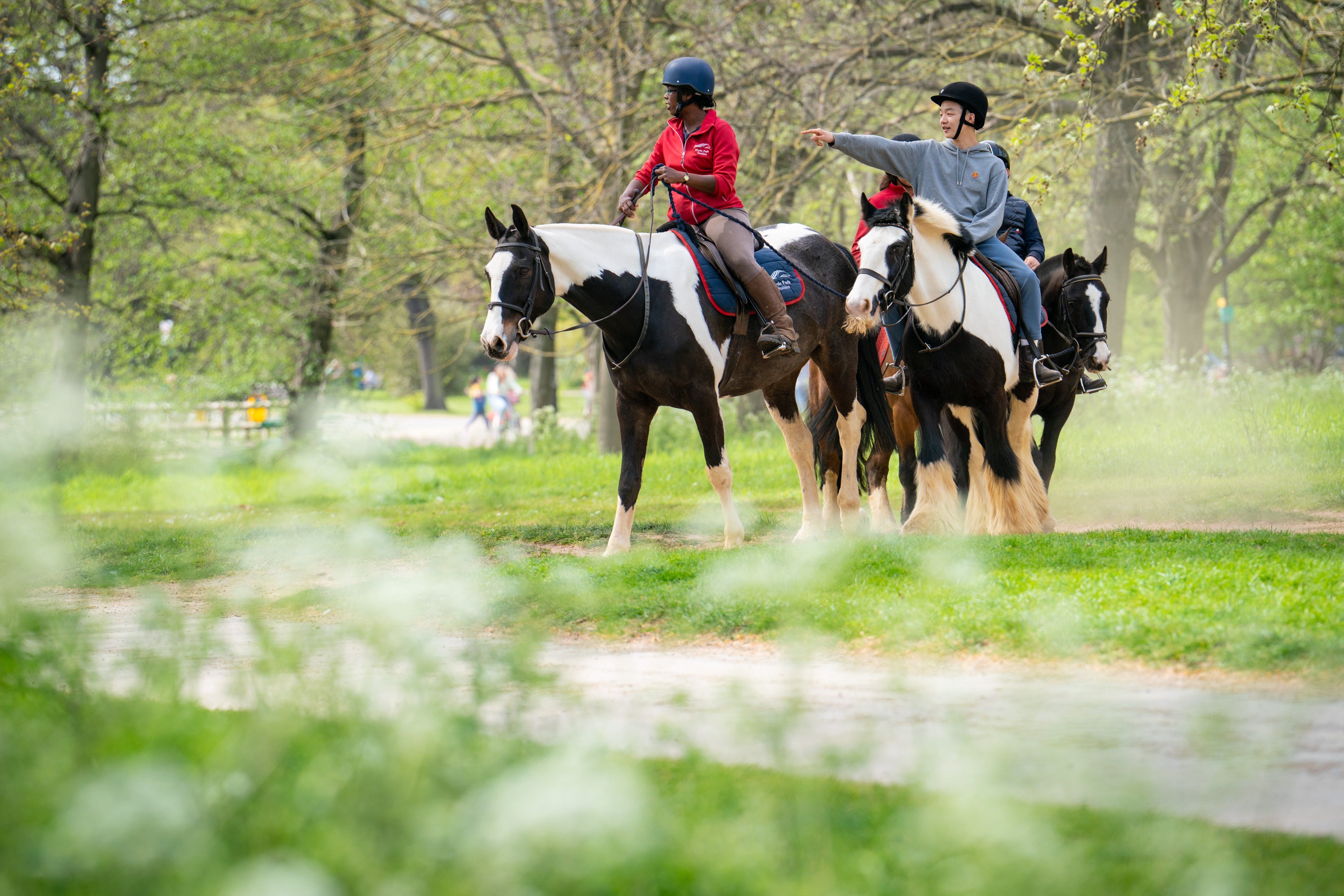 Horse riders in Hyde Park (PA)