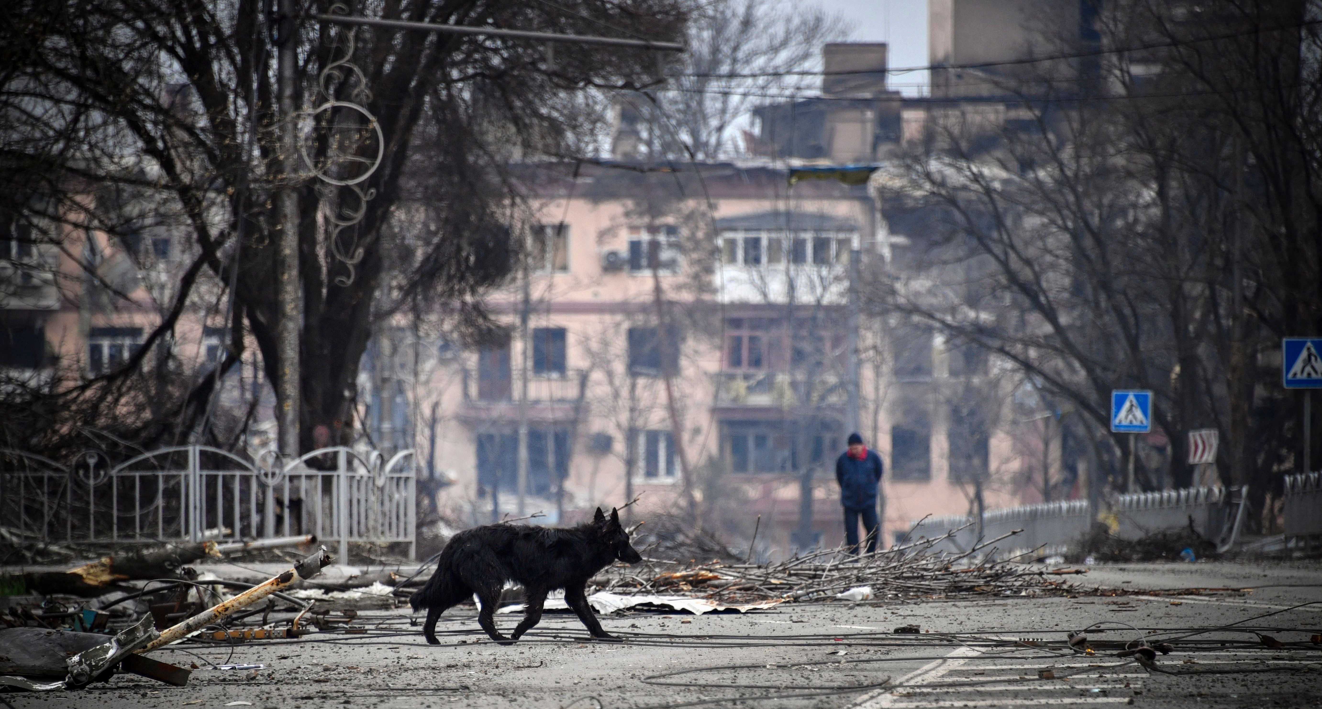 Russia’s defence ministry have issued an ultimatum to the last Ukrainian defenders of Mariupol