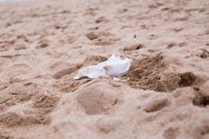 Ban on plastic wet wipes possible in new government plan