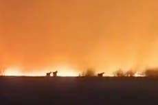 Massive wildfires raging in Russia are ‘already double last year’