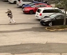 Woman attacked by goose in Florida as she walks too close to nest