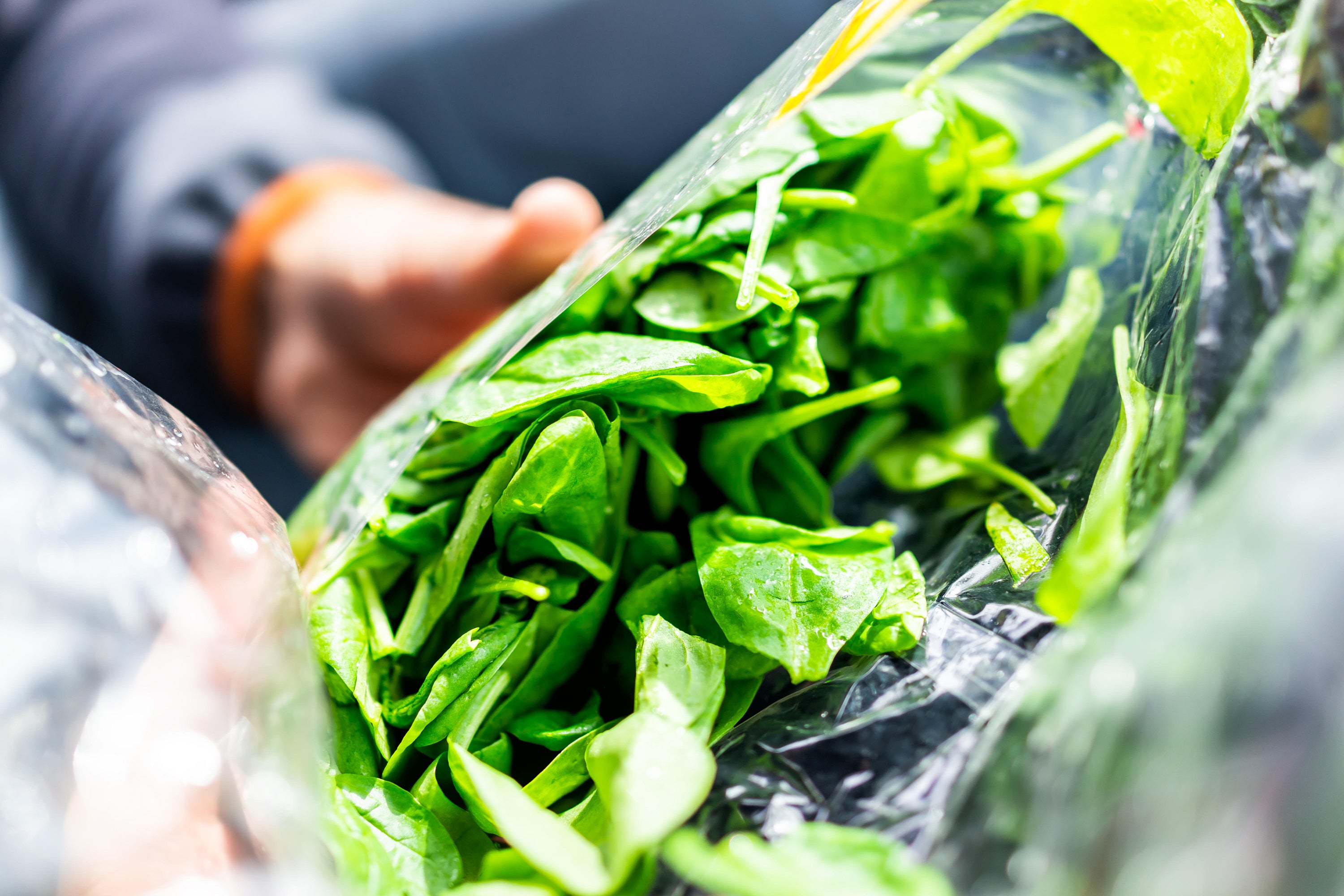 Bagged salads can contain food poisoning germs