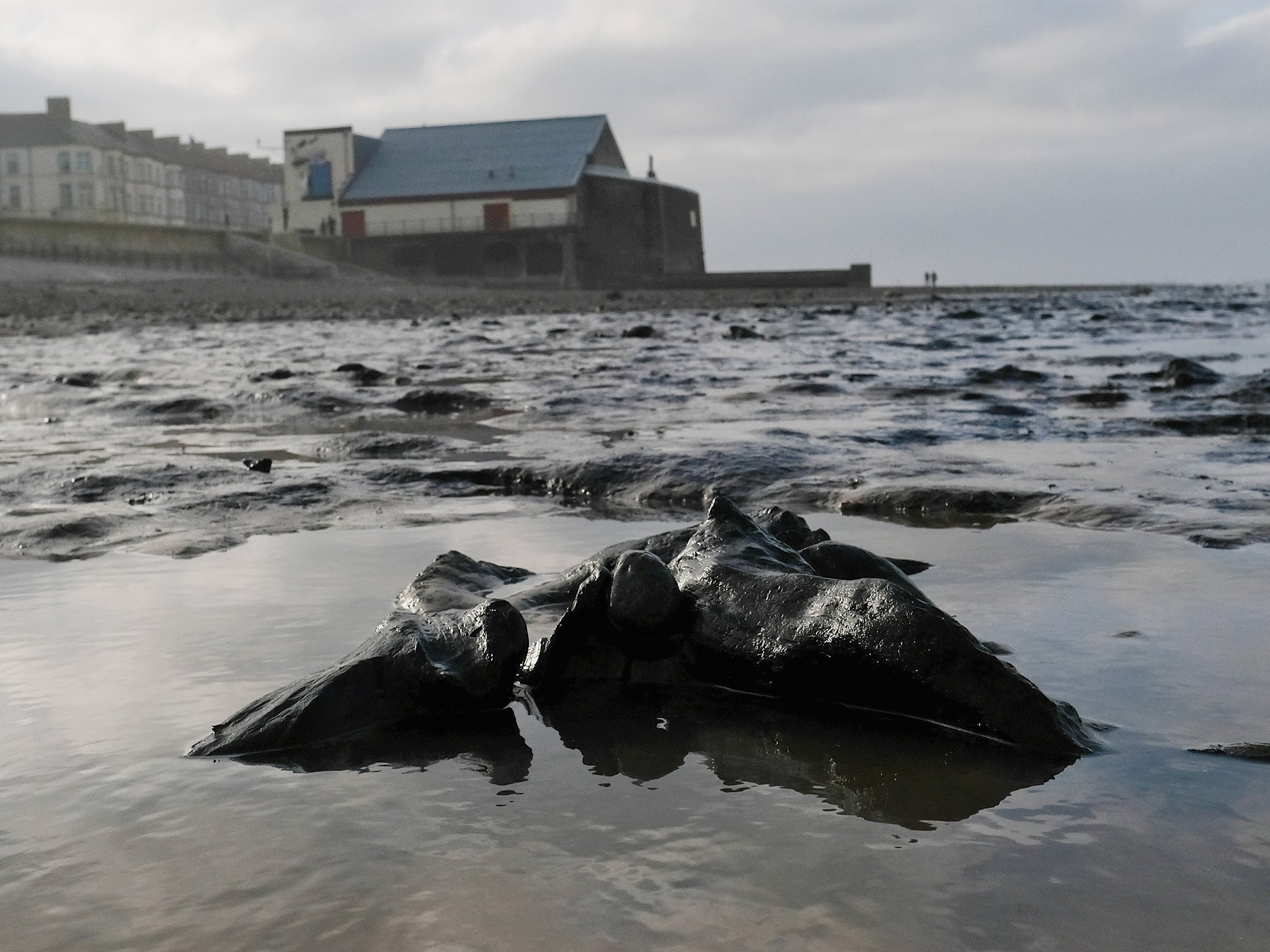 What archaeological discoveries will be lost to offshore wind farms?