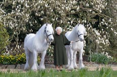 ‘Like Gandalf’: Fans react to the Queen’s new birthday portrait