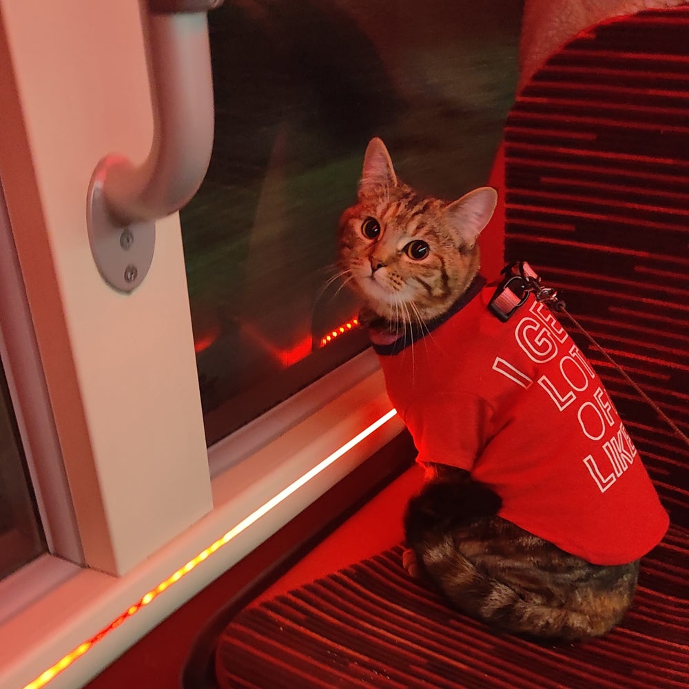 MewPaul on the bus (Collect/PA Real Life)