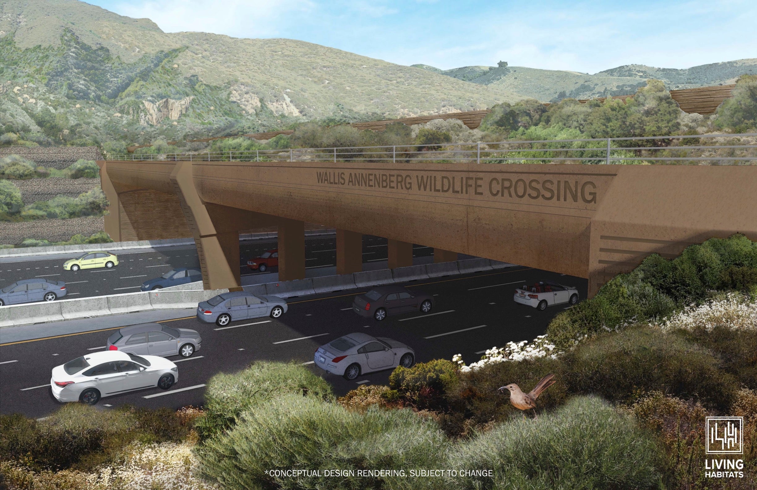 A rendering of the under-construction Wallis Annenberg Wildlife Crossing, which organizers hope will be a lifeline for the Santa Monica mountain lion population.