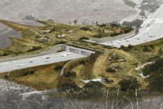 World’s largest wildlife crossing breaks ground on Earth Day
