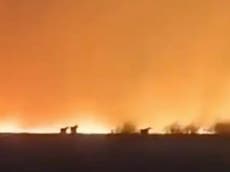 Siberian wildfires burning unchecked because Russian military units which usually fight them are at war