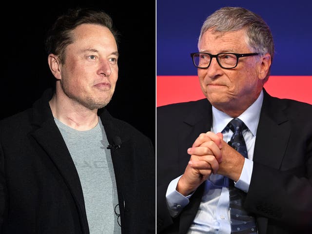 <p>Bill Gates hit out at fellow billionaire Elon Musk’s ‘insane’ political meddling  </p>