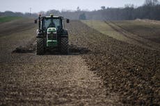 UK ‘sleepwalking’ towards food shortages, farmers warn