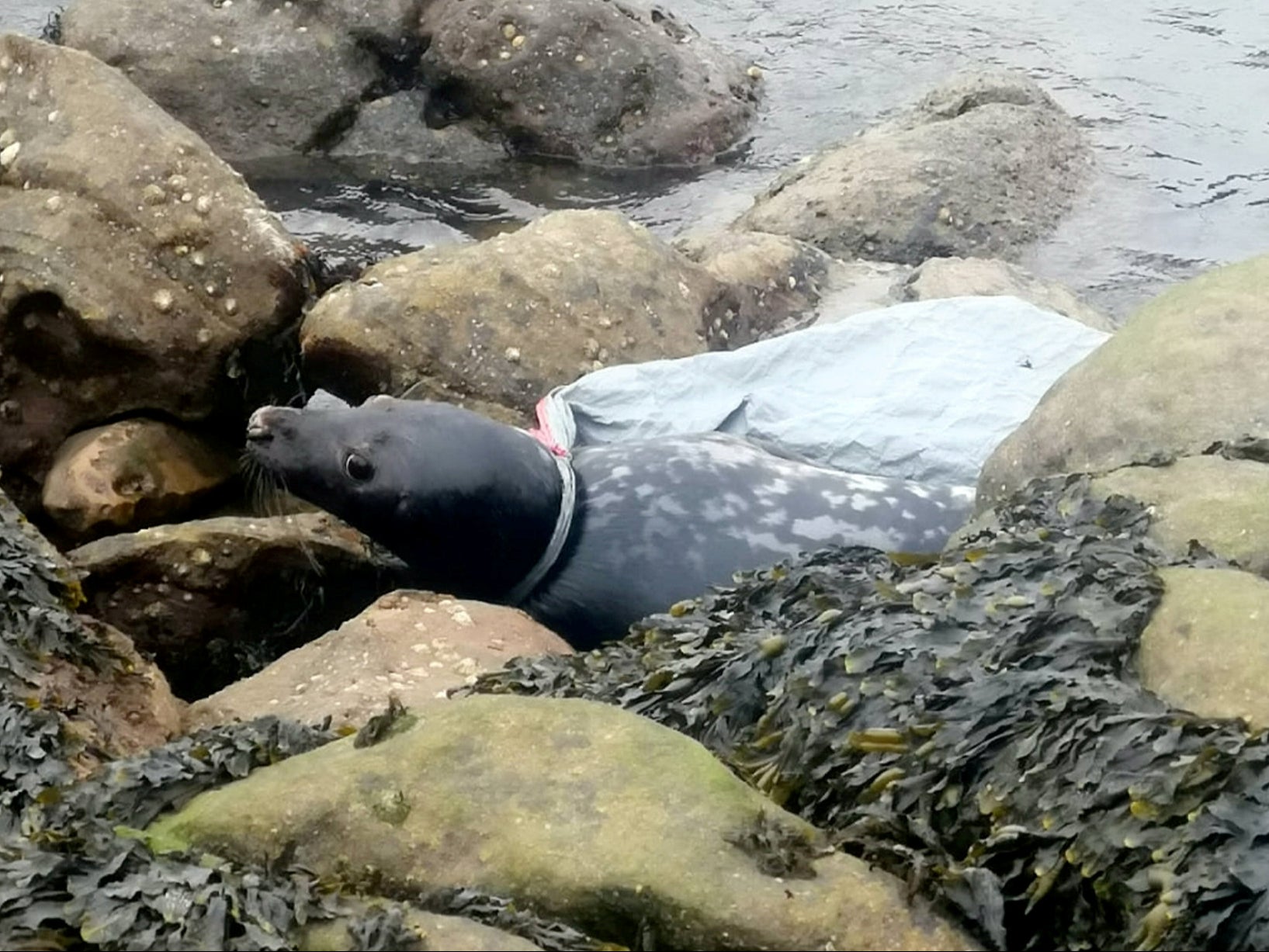 The story of Putin, as told by those in the room with him