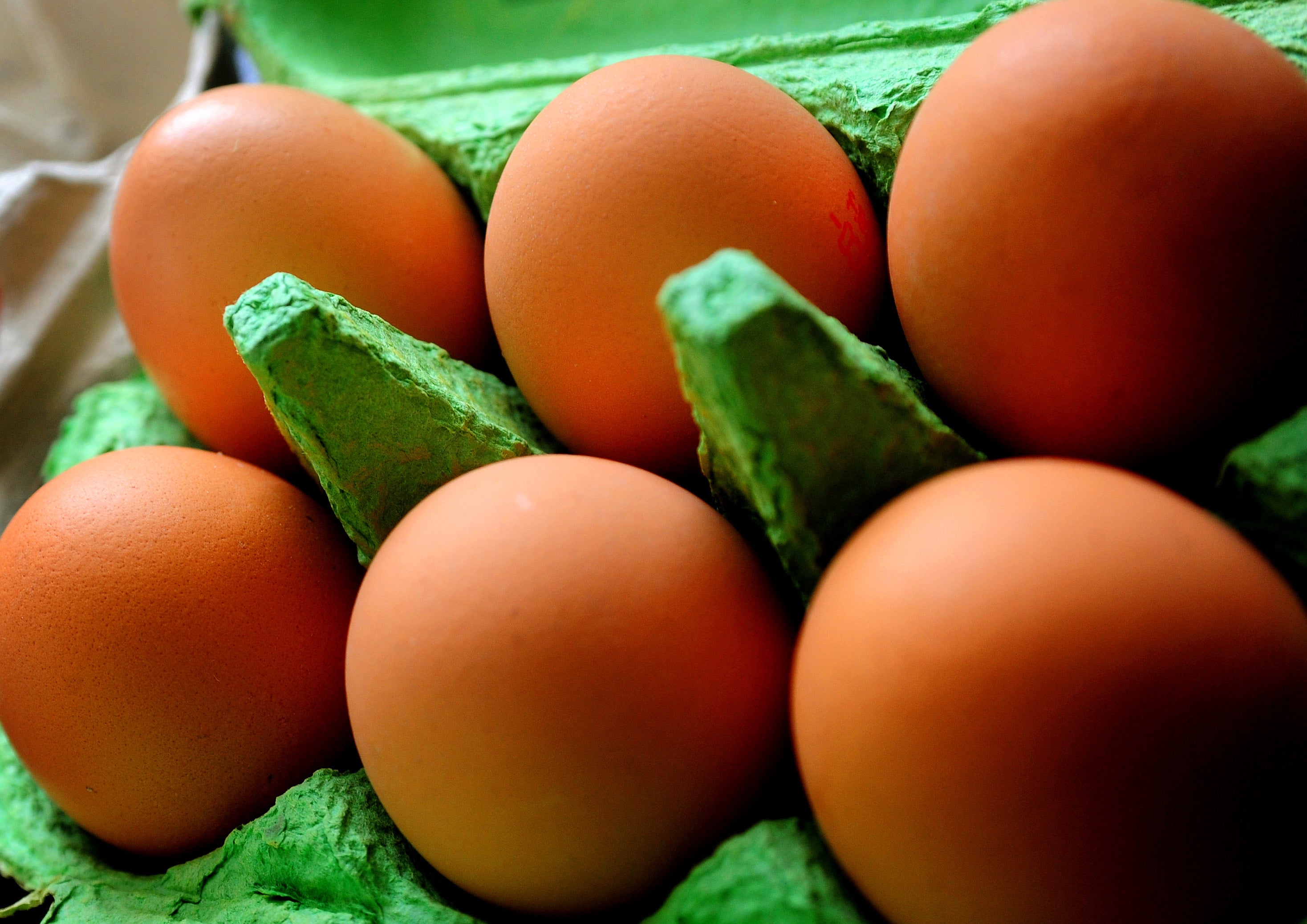 Free-range egg producers say they will go out of businesses unless supermarkets pay 40p more per dozen