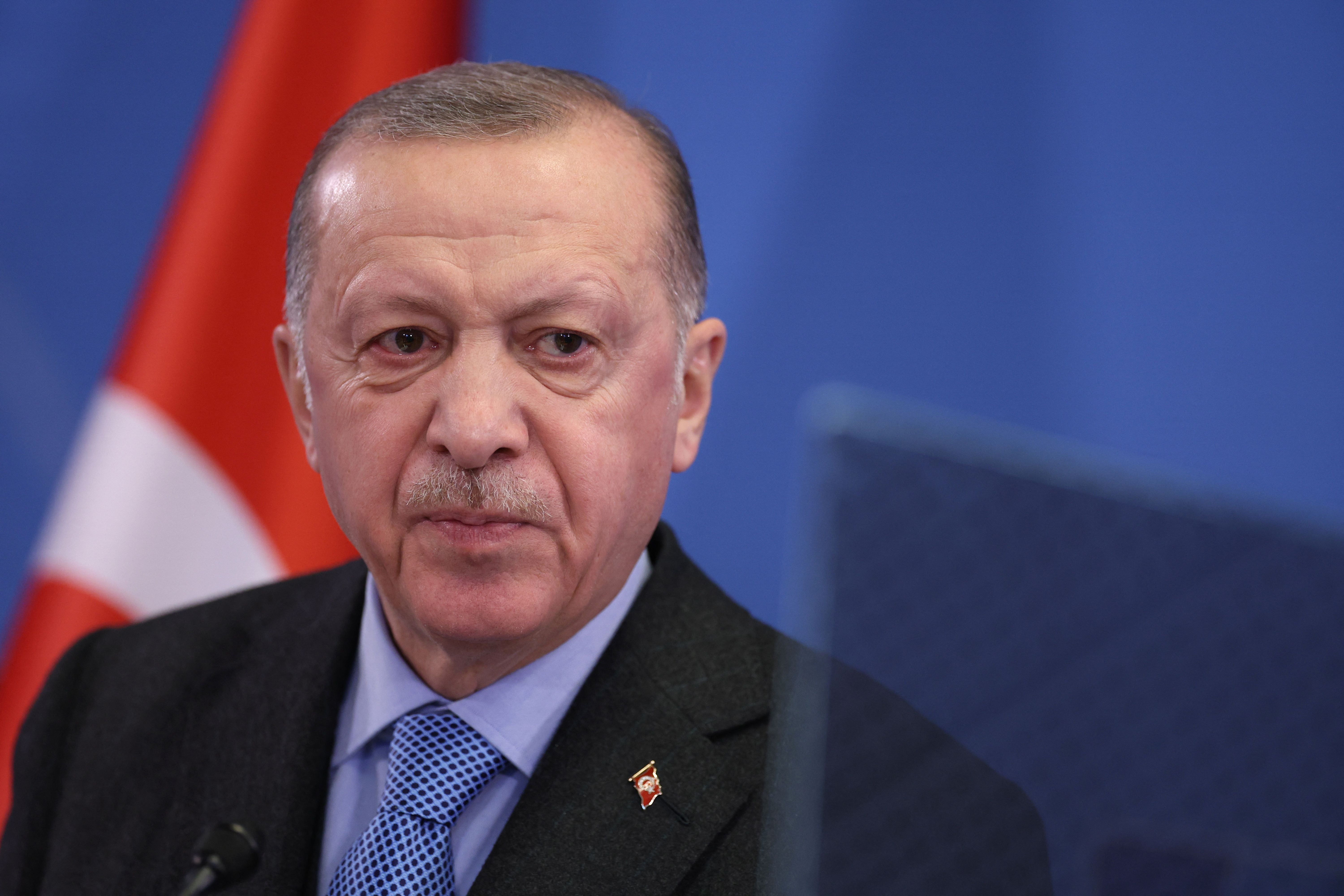 Erdogan addresses media representatives during a press conference