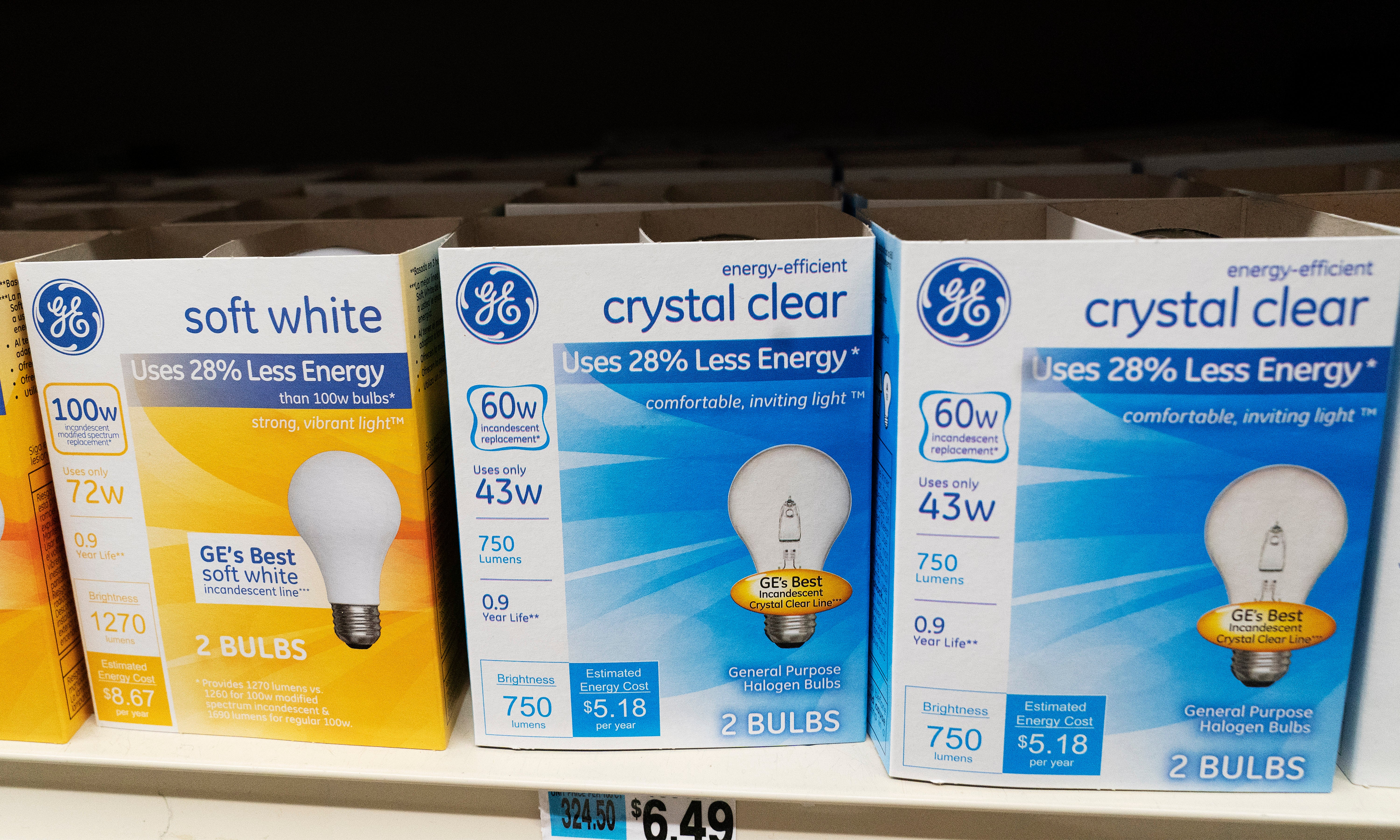 Biden Light Bulbs