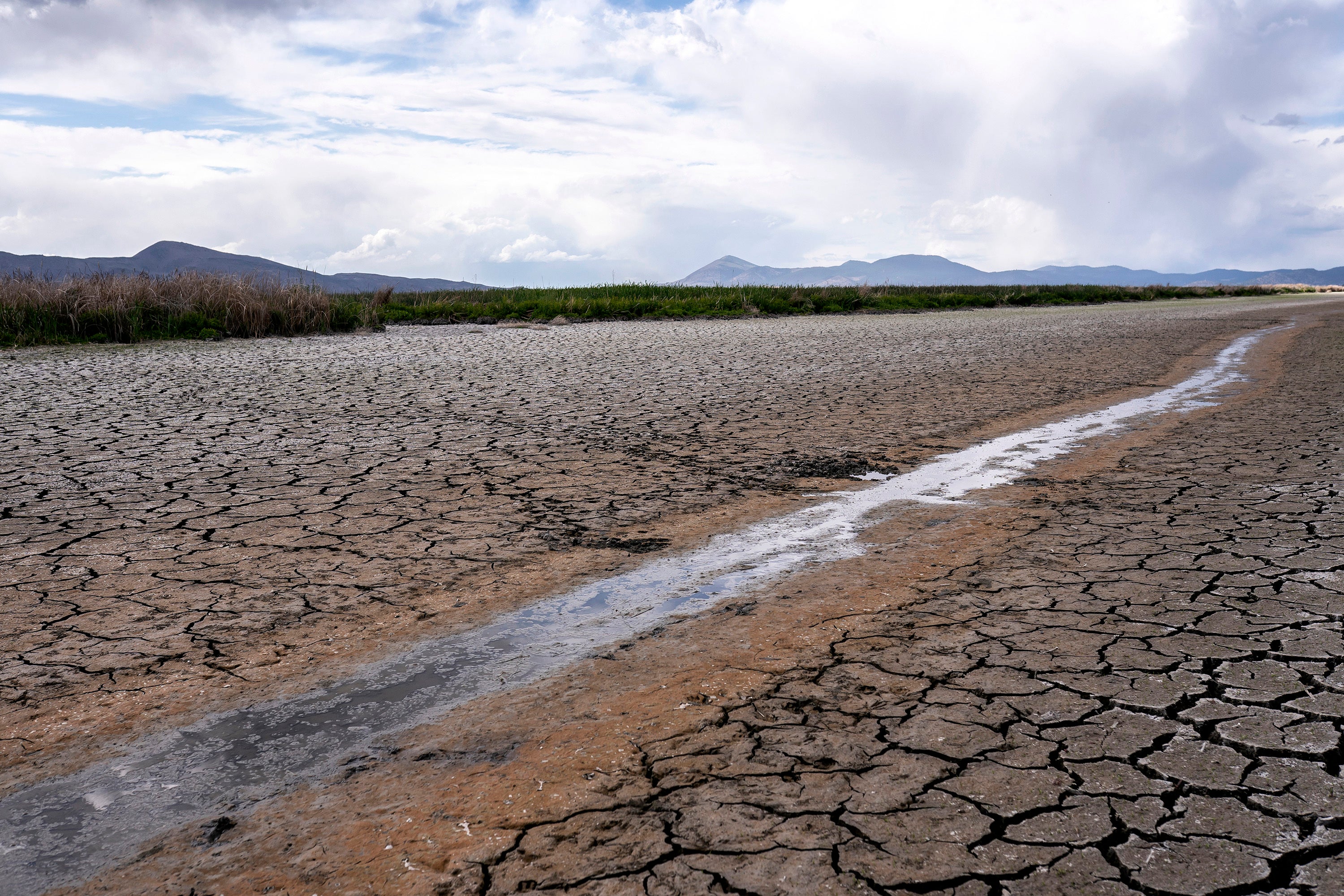 California Drought Water Restrictions