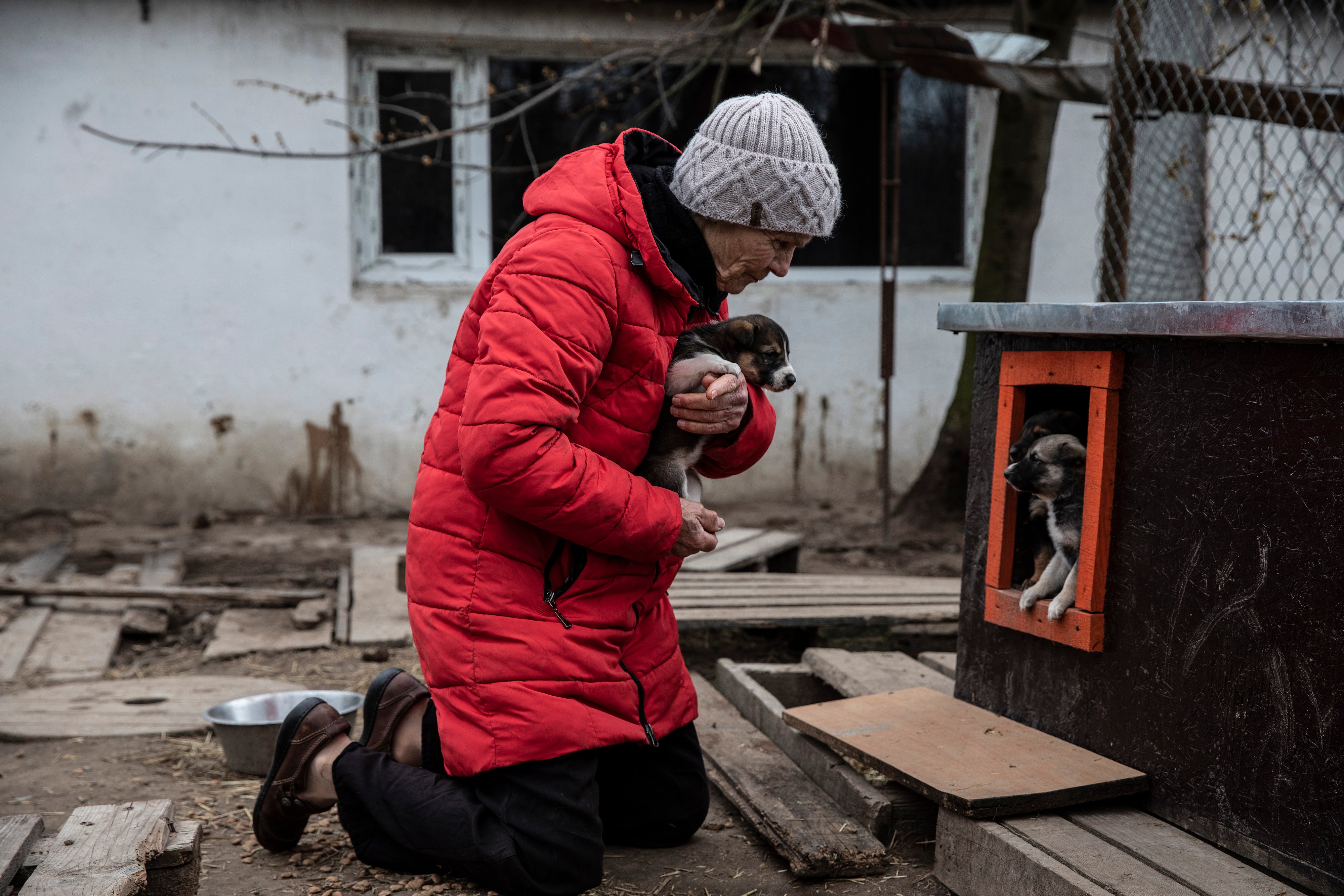 Serpinska visits the puppies born during the invasion