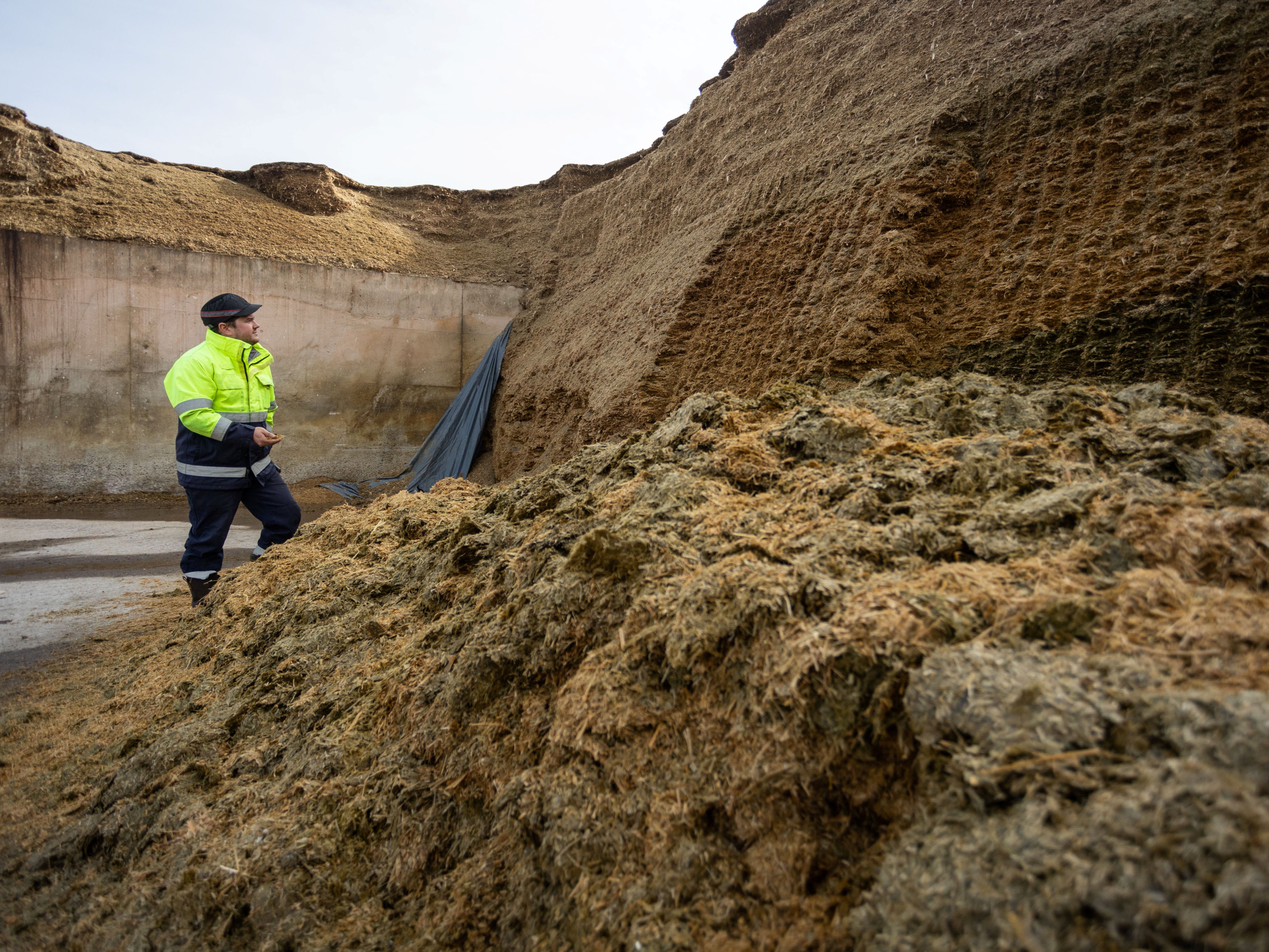 Eight thousand tonnes of crops can be stored at the site ready to produce biogas